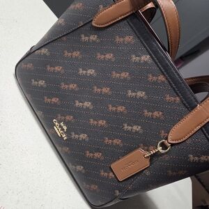 Coach Horse And Carriage